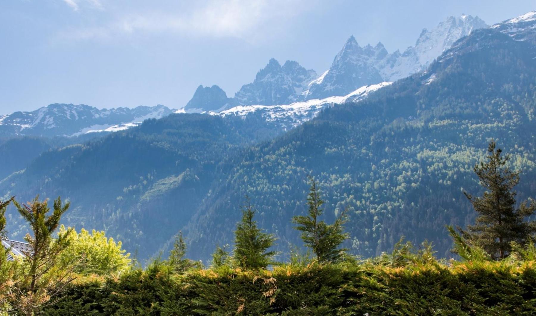 Villa Floria Apartment Chamonix ภายนอก รูปภาพ